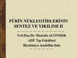 p r n n kleot dler n n sentez ve yikilimi ii