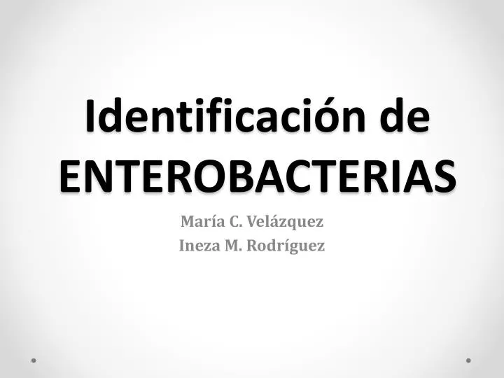 identificaci n de enterobacterias