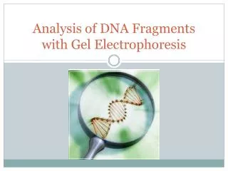 Analysis of DNA Fragments with Gel Electrophoresis