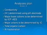 Analyses plan Module 19 - slide 1
