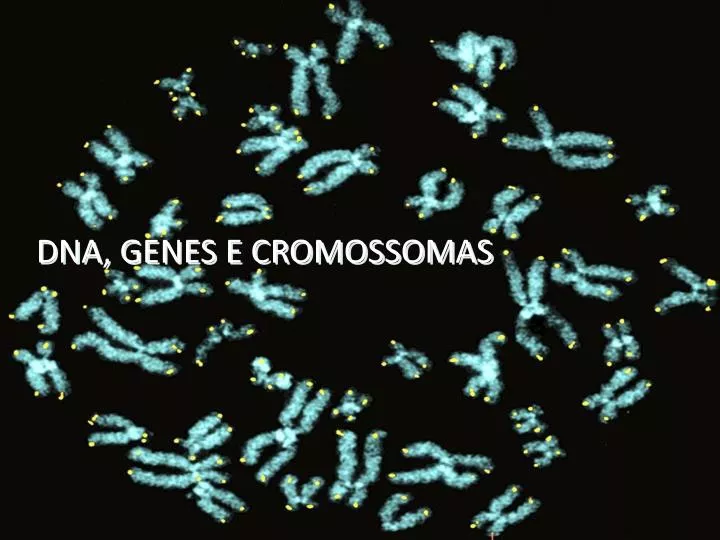 dna genes e cromossomas
