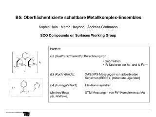 b5 oberfl chenfixierte schaltbare metallkomplex ensembles