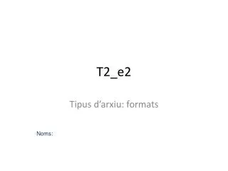t2 e2