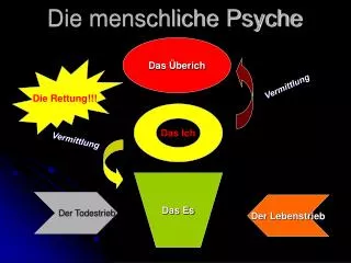 die menschliche psyche