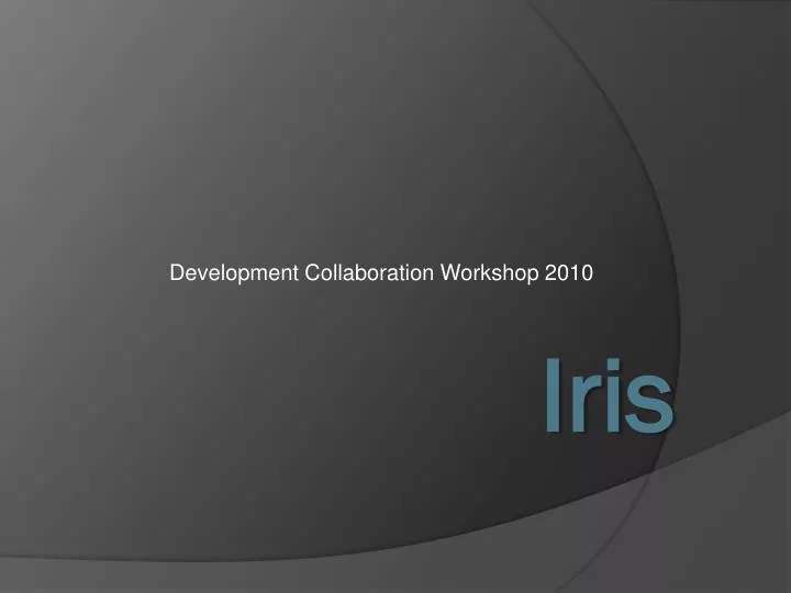 development collaboration workshop 2010