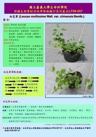 國立嘉義大學生命科學院 保健生物資材活性萃取物銀行系列產品 LF08-007