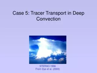 Case 5: Tracer Transport in Deep Convection