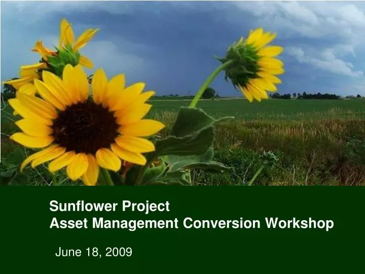 sunflower project asset management conversion workshop
