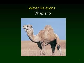 Water Relations
