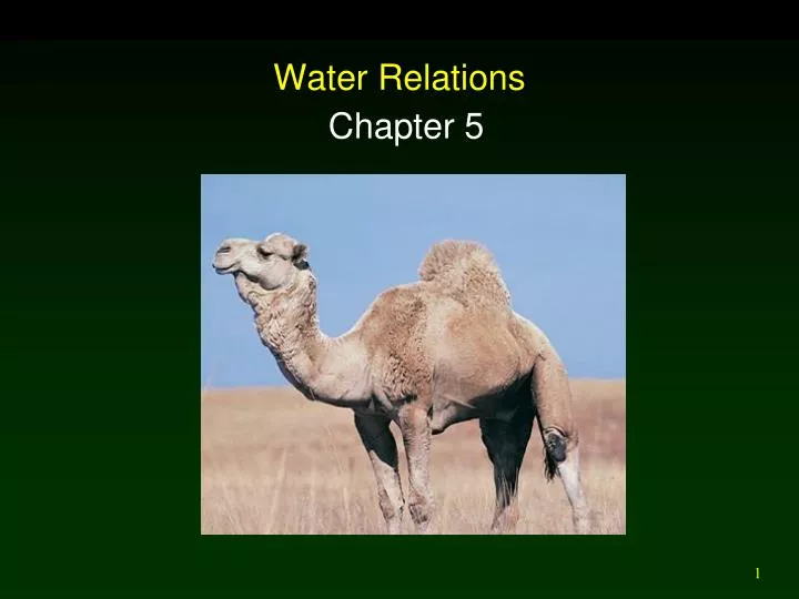 water relations