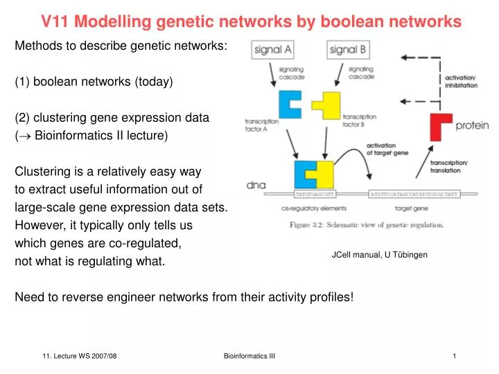 v11 modelling genetic networks by boolean networks