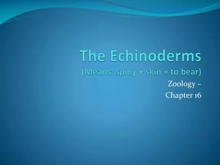 the echinoderms means spiny skin to bear