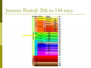 Jurassic Period: 206 to 144 mya