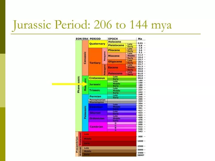 jurassic period 206 to 144 mya
