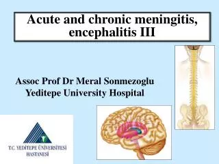 Assoc Prof Dr Meral Sonmezoglu Yeditepe University Hospital