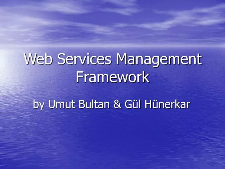 web services management framework