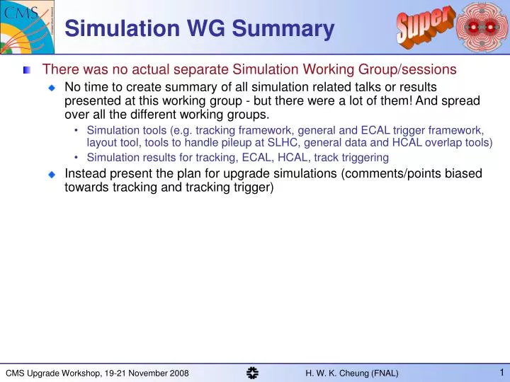 simulation wg summary