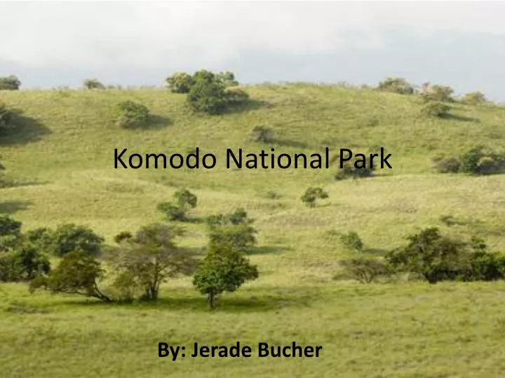 komodo national park