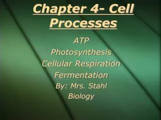 Chapter 4- Cell Processes