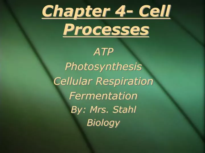 chapter 4 cell processes
