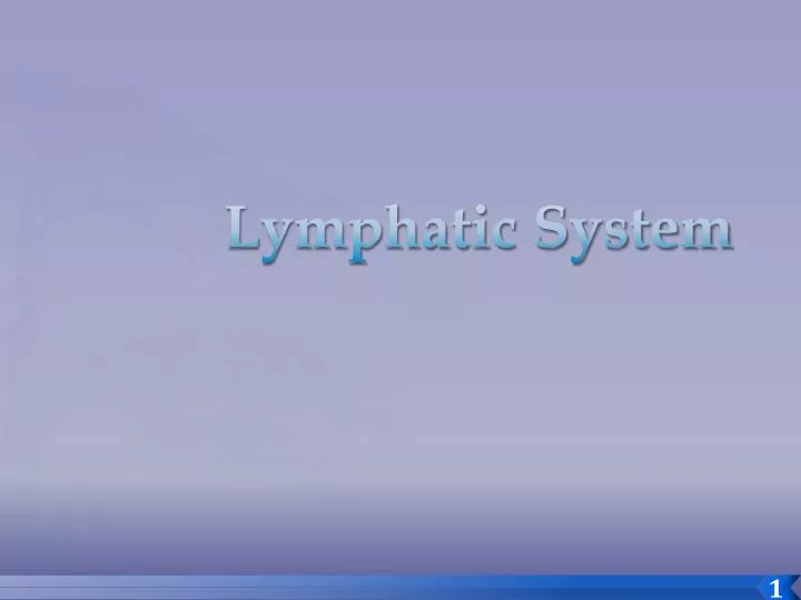 lymphatic system