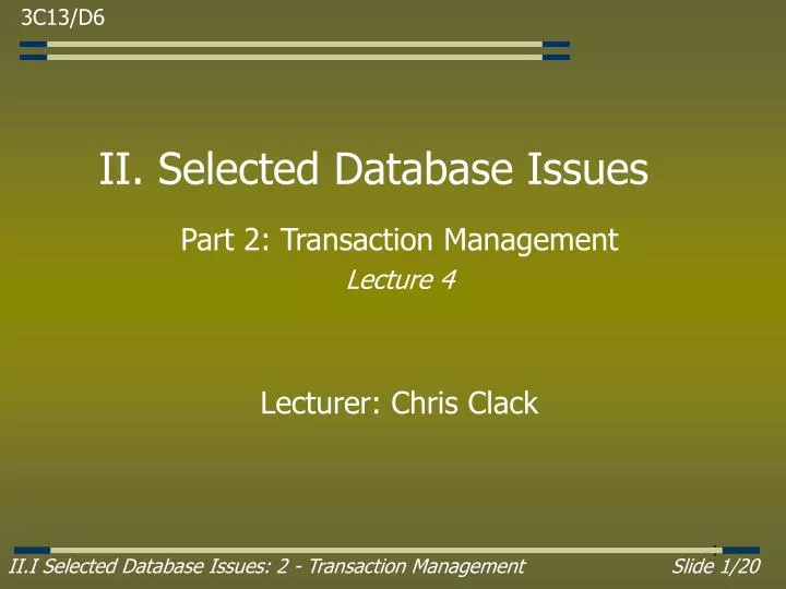 ii selected database issues
