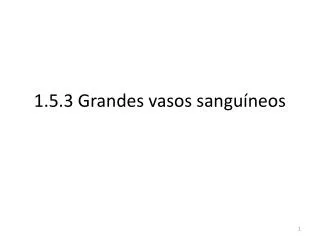 1 5 3 grandes vasos sangu neos