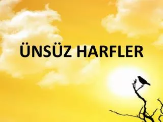 ns z harfler