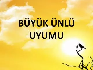 b y k nl uyumu