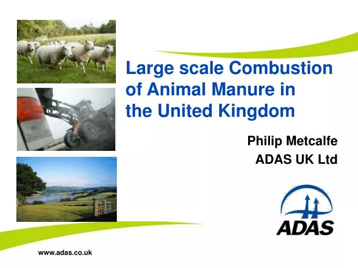 large scale combustion of animal manure in the united kingdom