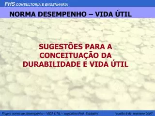 SUGESTÕES PARA A CONCEITUAÇÃO DA DURABILIDADE E VIDA ÚTIL