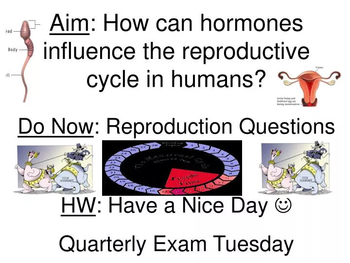 aim how can hormones influence the reproductive cycle in humans