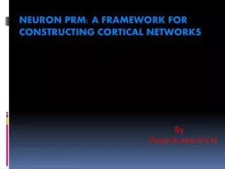 Neuron PRM: A Framework for Constructing Cortical Networks