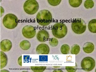 lesnick botanika speci ln p edn ka 3
