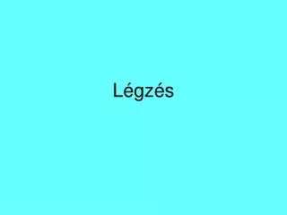 l gz s