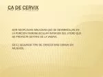 CA DE CERVIX - slide 1