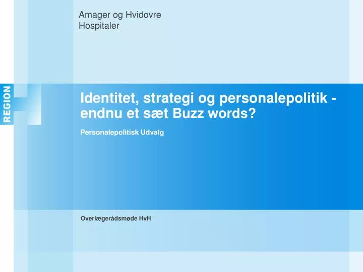 identitet strategi og personalepolitik endnu et s t buzz words personalepolitisk udvalg