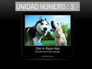 unidad numero 3