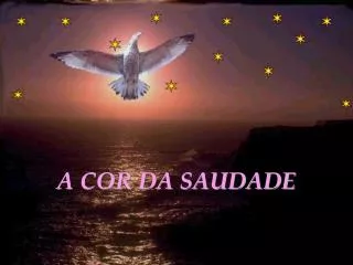 a cor da saudade