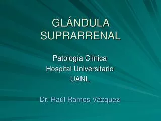 gl ndula suprarrenal