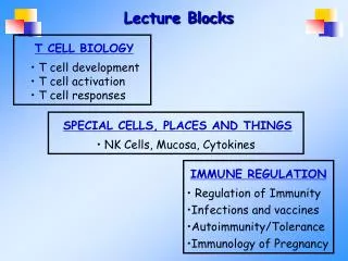 T CELL BIOLOGY T cell development T cell activation T cell responses