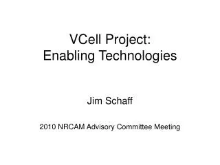 VCell Project: Enabling Technologies