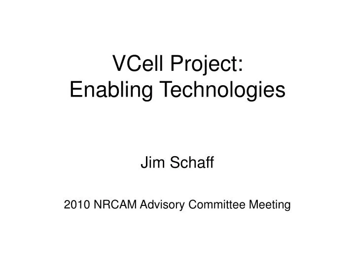 vcell project enabling technologies