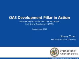 CIDI Meeting. OAS Headquarters. July 22, 2014