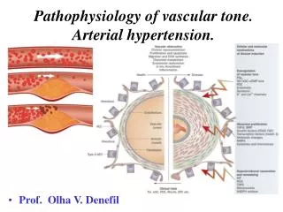 Pathophysiology of vascular tone. Arterial hypertension.