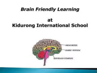 Brain Friendly Learning at Kidurong International School