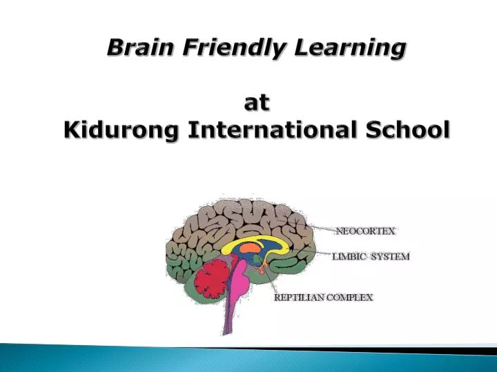 brain friendly learning at kidurong international school