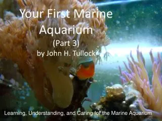 Your First Marine Aquarium ( Part 3) by John H. Tullock
