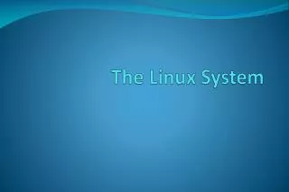 the linux system