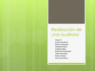 realizaci n de una auditoria